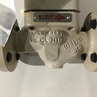 Flowserve K39-5028-TV – MK1 Globe Control Valve w/Pneumatic Actuator & Digital Valve Positioner