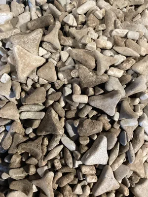 Abrasive Polishing Tumbler Media Material
