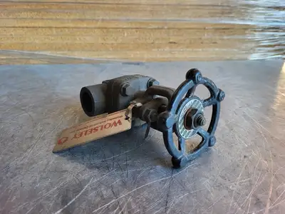 3/4" Class 800 Gate Valve B16.34