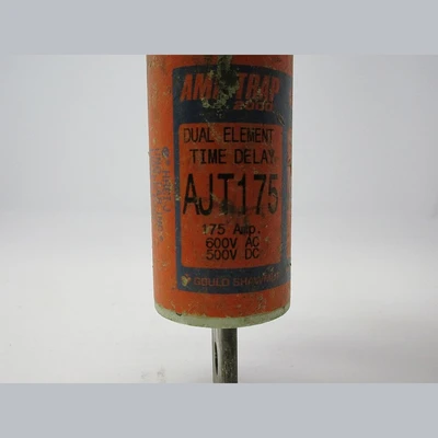 Amp-Trap 2000 Dual Element Time Delay 175 AMP