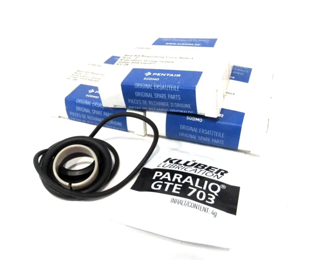 LOT OF 3 NEW PENTAIR 2156191 REGULATING VALVE SEAL KIT SIZE 2"
