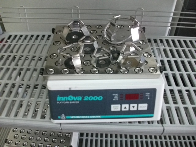 Used NEW BRUNSWICK SCIENTIFIC _UNKNOWN_ Shakers California US | Biotech Equipment Sales #1464696