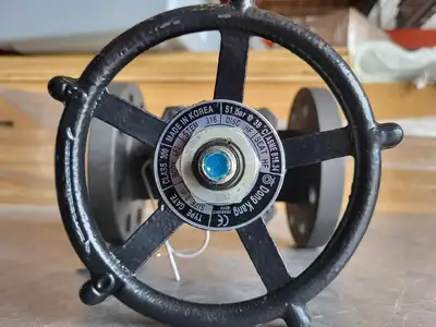 2" Class 300 Gate Valve B16.34
