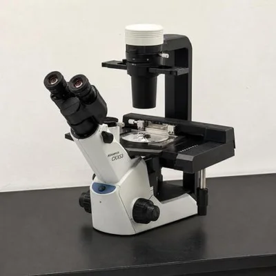 Used OLYMPUS CKX53 INVERTED CELL Microscopes New Jersey US | Bionex Scientific LLC #800131