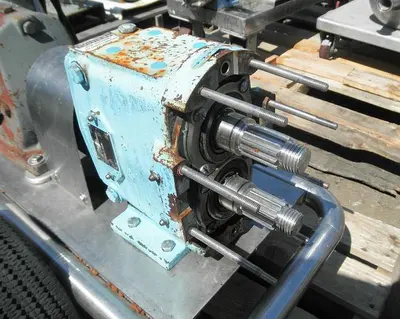 Pump, Positive, Waukesha, Mdl 030, S/st, 1 HP #S738290