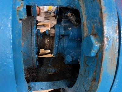 USED Goulds 3175S
