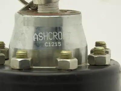 Ashcroft C1215 Type 101 Threaded Diaphragm Seal With 0-60psi Guage 1" NPT