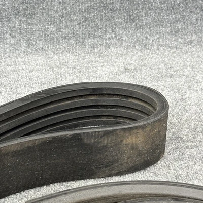 New | in-Stock Jason RB-148 Belts California US | Davliegogo LLC #1705405