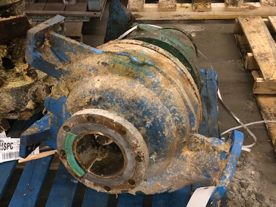 USED Goulds 3175