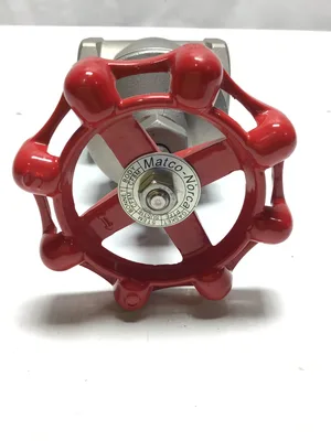 2″ Stainless Steel Gate Valve CF8M 200 PSI