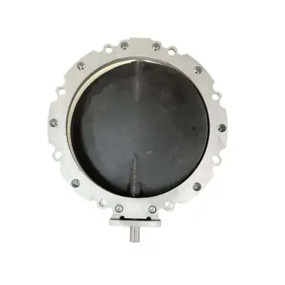 Belgrade 12″ BUTTERFLY VALVE Wam Accessories | Iron Listing (2)