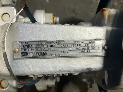 Used POWELL WCB 300 Pumps Ohio US | HGR 24 #1517006