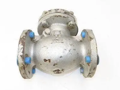 WM E Williams 151F2 Swing Check Valve 2" ANSI Flange Class 150