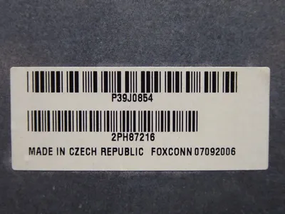 IBM 39J0854 Processor Filler Used