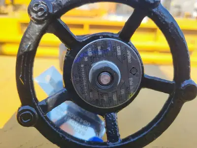 1" Class 800 Globe Valve API 602