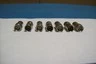 LOT OF 7 Used 50-673-6810-89 Coaxial, RF Connector