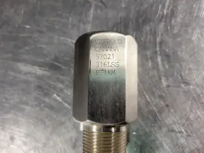 Plug/Stem Assembly F118M