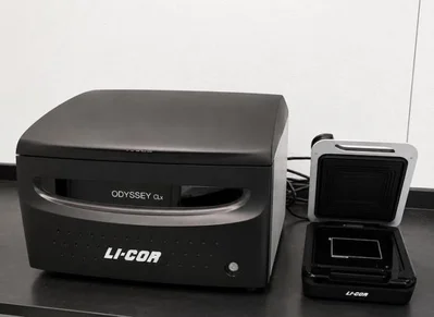 Used LI-COR ODYSSEY CLX Imaging Systems / Molecular Imagers New Jersey US | Bionex Scientific LLC #800616