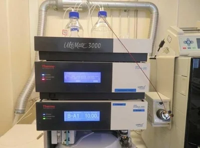 Used THERMO FISHER SCIENTIFIC TSQ ENDURA Spectrometers New Jersey US | Bionex Scientific LLC #799802