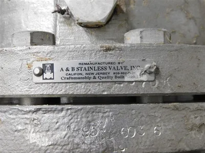 6" Aloyco Stainless Steel Gate Valve Class 150 CF8M Rising Stem Used