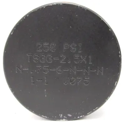 NEW EATON TSGG-2.5X1-N-.75-6-N-N-N-1-1 HYDRO-LINE TSGG25X1N756NNN11