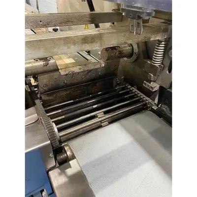 Used Ilapak _UNKNOWN_ Flow Wrappers Pennsylvania US | ISCA #1299749