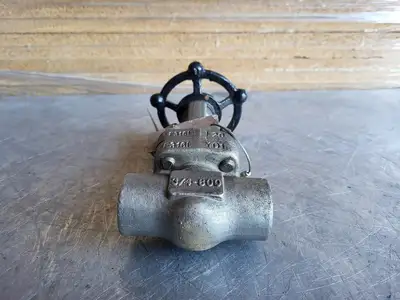 3/4" Class 800 Gate Valve B16.34