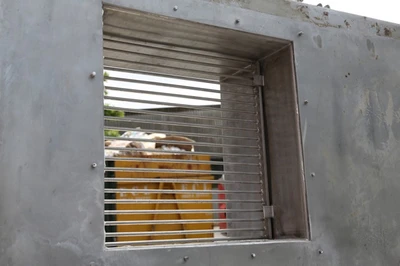 650L S/S Gardner U-Trough Mixer