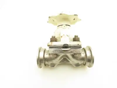 ITT Grinnell Manual Diaphragm Valve 1" CF3M Stainless Lot of 2