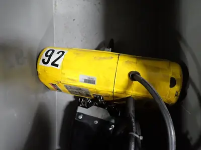 Cm  1000 Lbs Hoist
