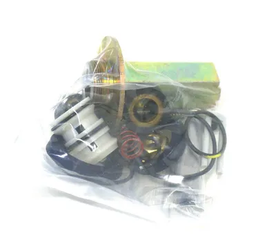 NEW ASCO 302-738 REBUILD KIT 302738