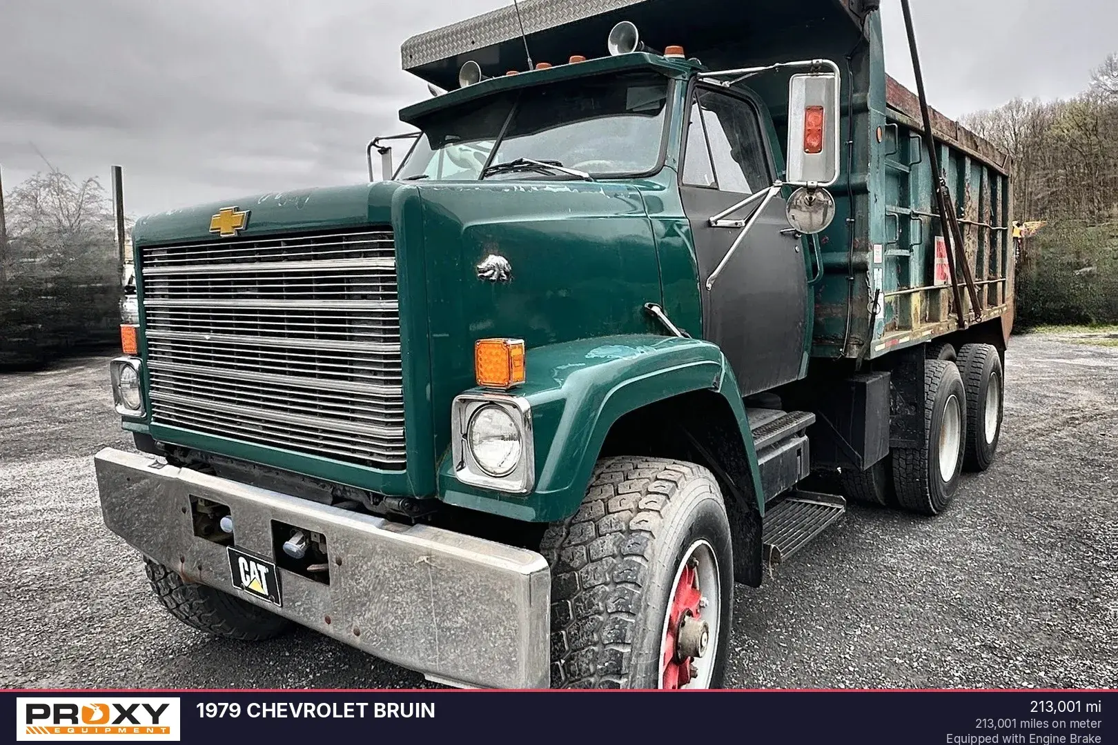 Used 1979 CHEVROLET BRUIN Dump trucks Pennsylvania US | Proxy Equipment #1377853
