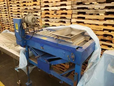 Berry Grading Sorter
