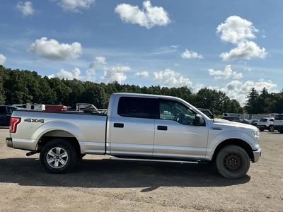 Used 2016 FORD F-150 Pickup Trucks Michigan US | Miedema Asset Management Group #1425119
