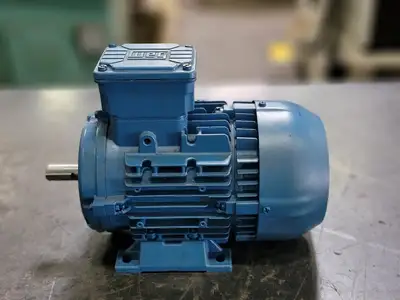 Used 2022 WEG TE01A0X0T0000300438 Motors (misc) British Columbia CA | Lenmark #246663