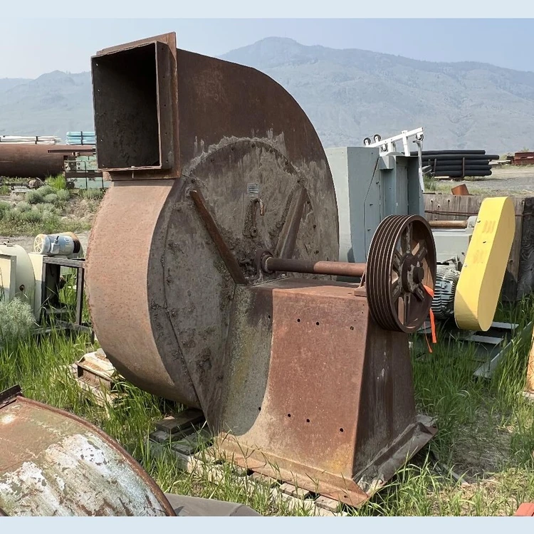 Used WESTERN BLOWER _UNKNOWN_ Centrifugal Blowers British Columbia CA | Savona Equipment LTD #1146420