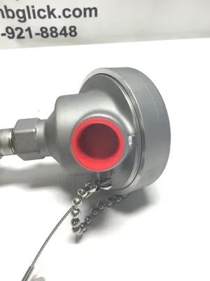 Weed Instrument 1050766 RTD 100Ohm Platinum 612D Stainless Steel
