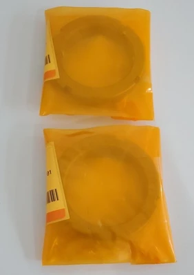 NEW Flowserve 19A19N12