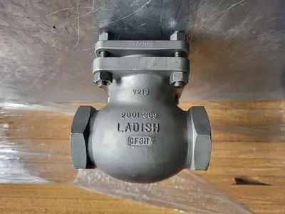 2" Class 150 Stainless Steel Swing Check Valve B16.34