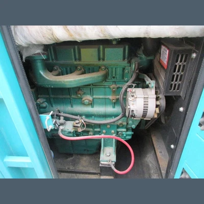 USED LAUYOO GENERATORS TFW2-30