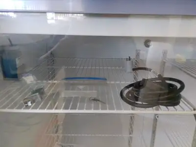 Themo Scientific TSX4505GA Glass Double Door Refrigerator 45.8Cf (2020)