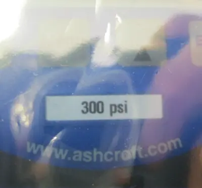 NEW Ashcroft 45207SD02L300
