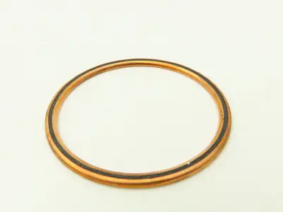 Nicholson 5704400 Steam Trap Repair Kit A-AU-AHV Bronze Bellows 2-3/4" Washer
