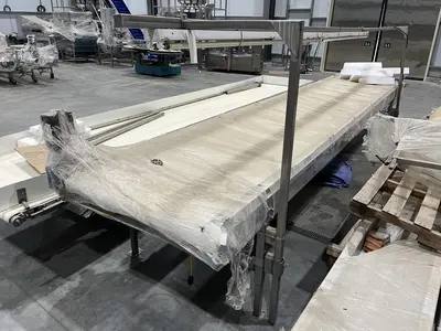19ft Inspection Conveyor
