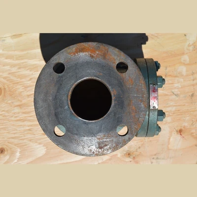 Red White 2.5 in. Check Valves