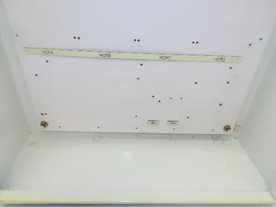 Hoffman A302408LP Electrical Enclosure Control Panel 30x24x8" Backplate