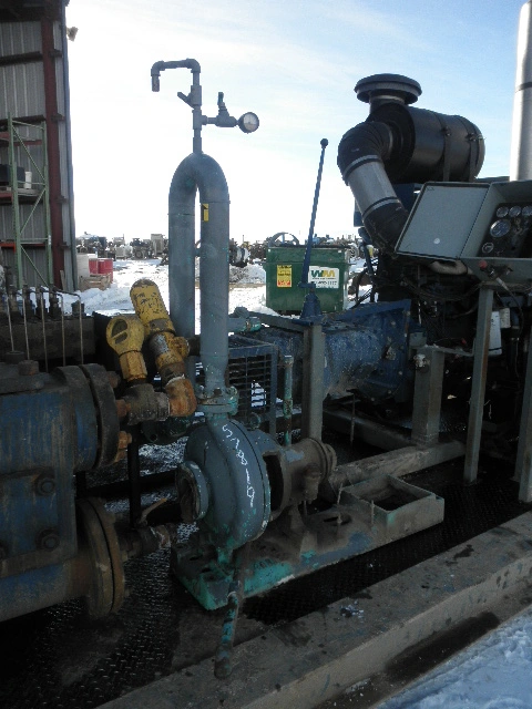 USED GOULDS 3196