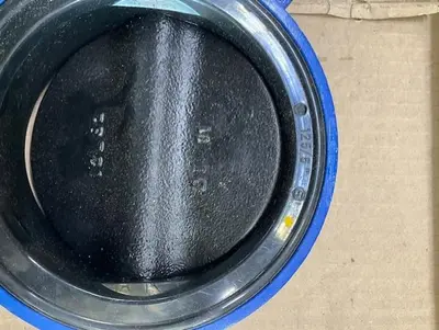 Deltech DN125/5” Valve