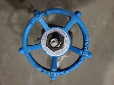 3/4" Class 800 Gate Valve B16.34