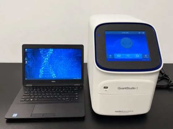 Used THERMO FISHER SCIENTIFIC QUANTSTUDIO PCR/Thermal Cycler New Jersey US | Bionex Scientific LLC #1175558